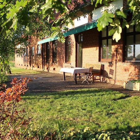 Ferienhaus Auf Gut Sautmannshausen Haselünne 外观 照片