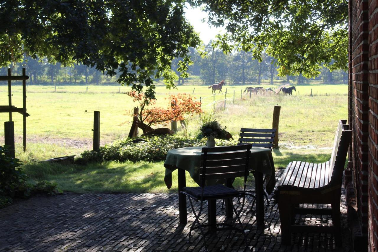 Ferienhaus Auf Gut Sautmannshausen Haselünne 外观 照片