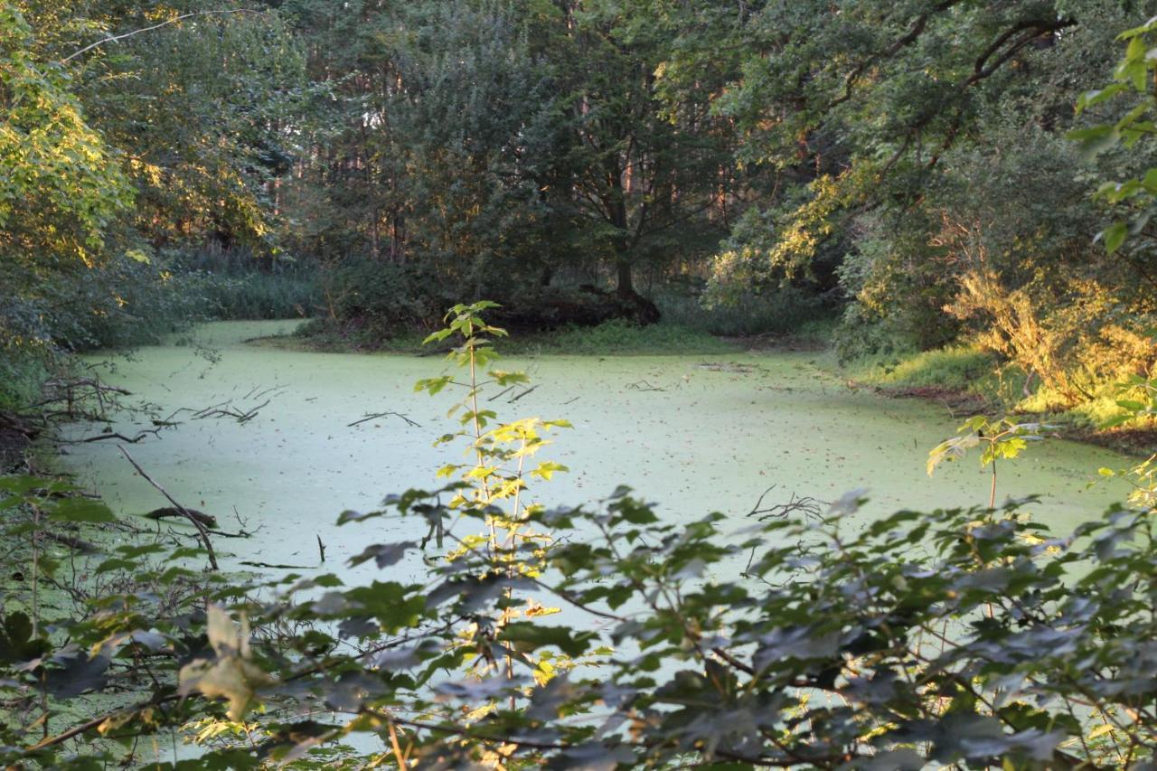 Ferienhaus Auf Gut Sautmannshausen Haselünne 外观 照片